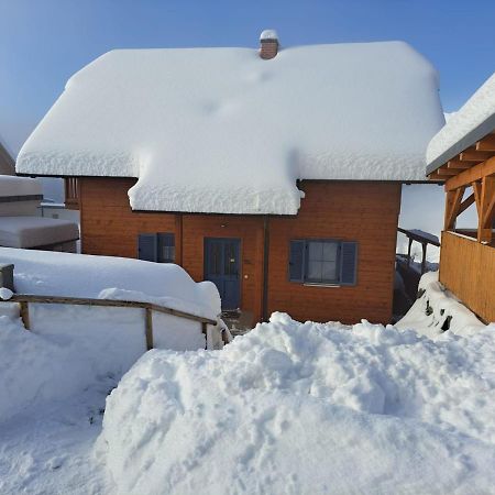 St Wolfgang-Kienberg - Ruhe Und Entspannung Mit Bester Aussicht Villa Obdach Esterno foto