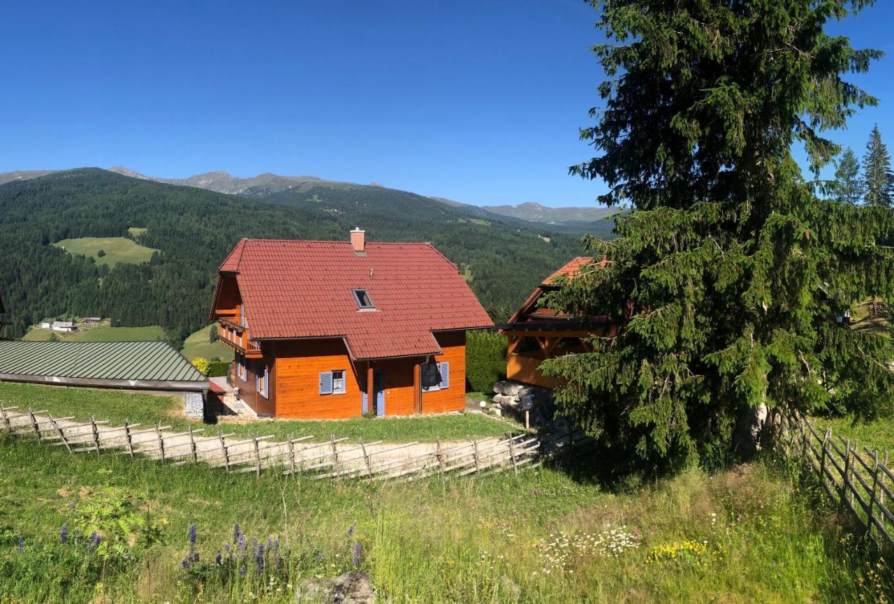 St Wolfgang-Kienberg - Ruhe Und Entspannung Mit Bester Aussicht Villa Obdach Esterno foto